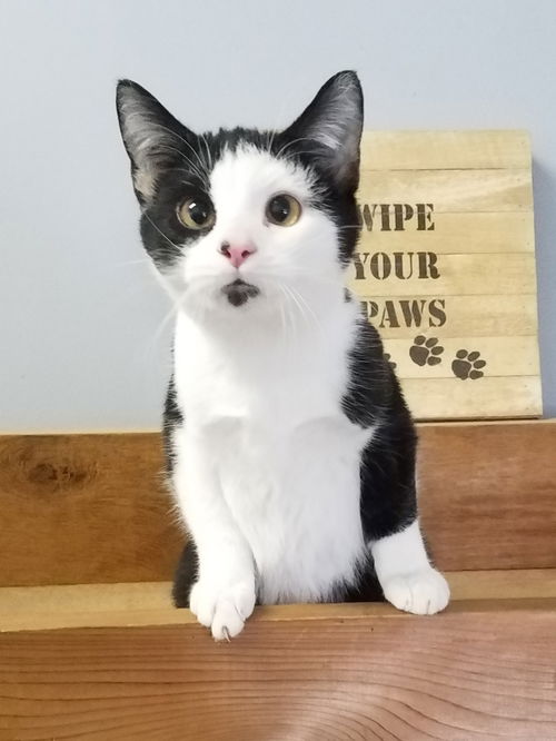 Erik