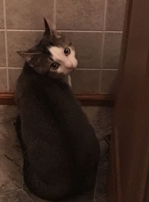 Dex