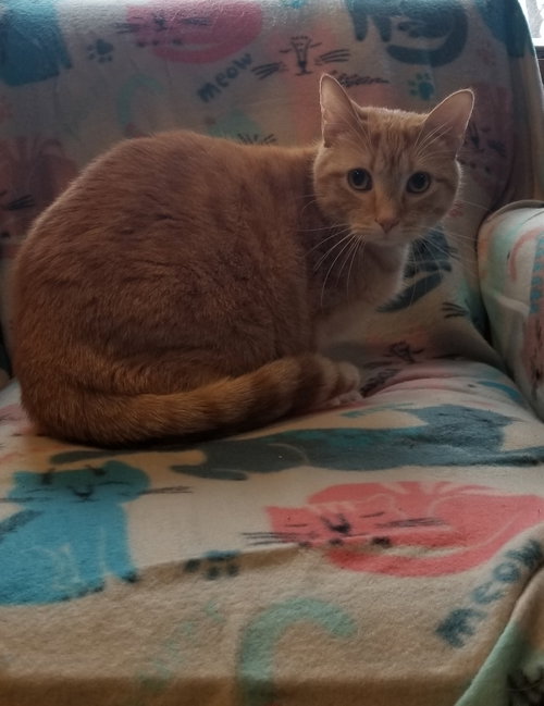 Mr. Rusty