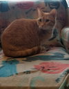 Mr. Rusty