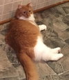 Mittch