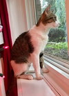 Mitzi