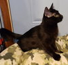 Toska