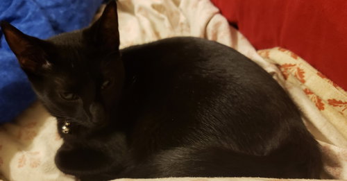 Lucifer
