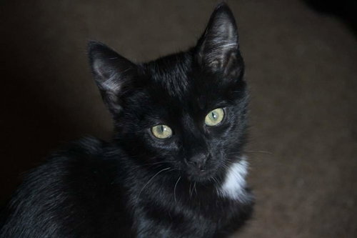 Sweet Baby Jean