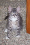 Dudley
