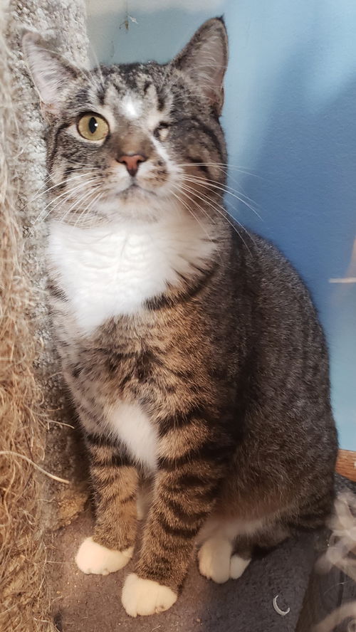 Leela
