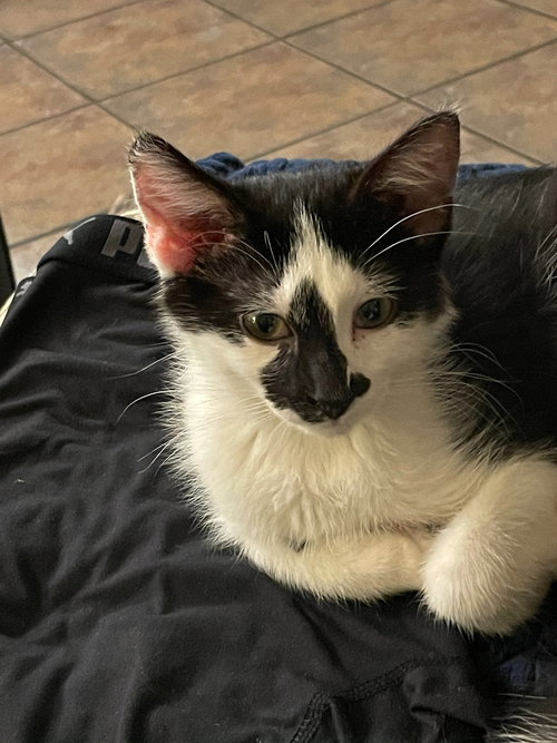 Bumi