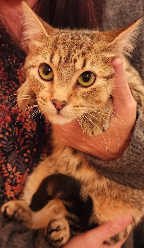 Topaz