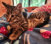 Twix