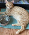 Murphy