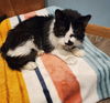 Elwood