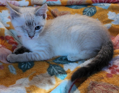 Luna