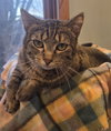 Sweetie - Photo 3