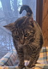 Sweetie - Photo 4