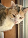 Dorothy