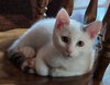 Bilbo