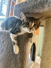 Oompah - Photo 2