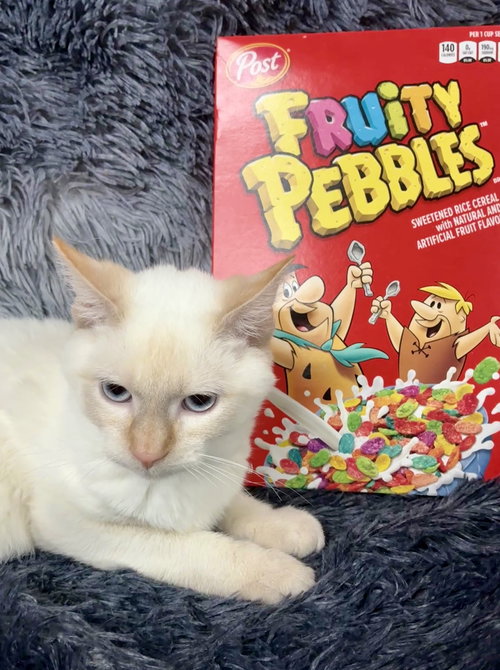 Fruity Pebbles