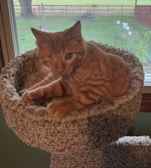 Photo 2 of Scratch