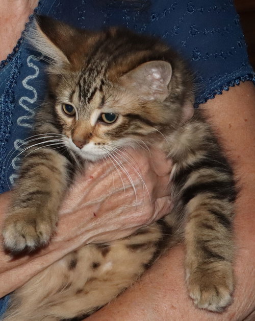 Photo 3 of Superfluff