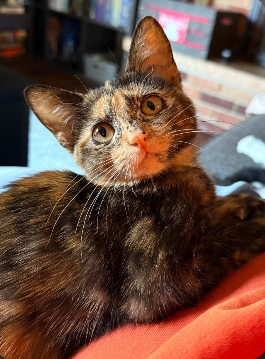Thora