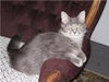 Princess Gracie