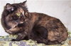 Ms. Callie