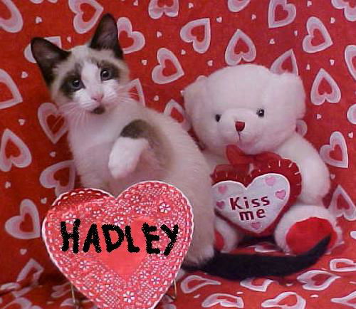 Hadley