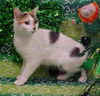 Kearie