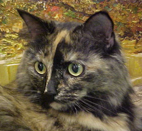 Mischa