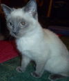 Joslyn
