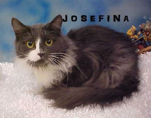 Josefina