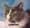 Josefina