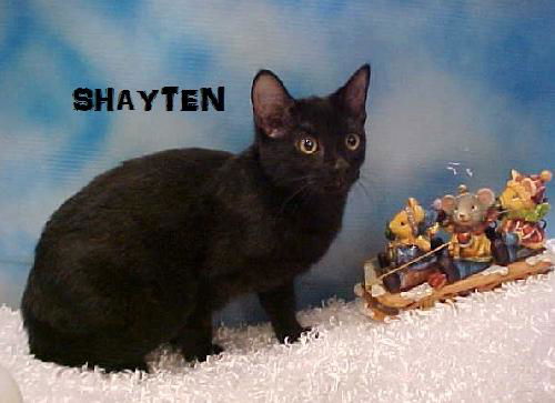 Shayten