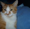 Anzette