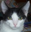 Dmitry