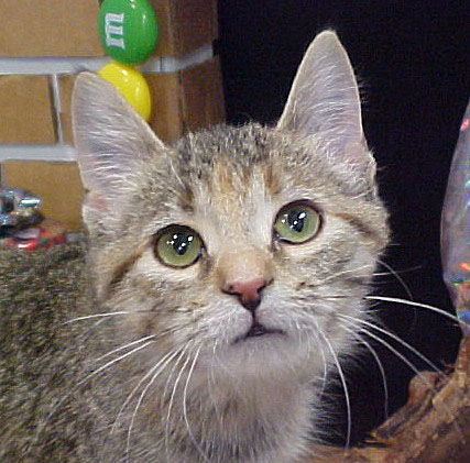 Almeda