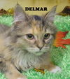 Delmar