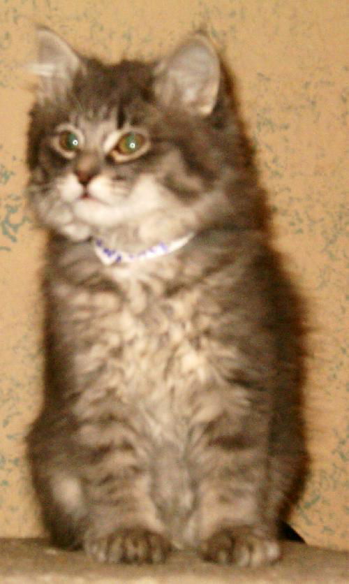 Lawrence