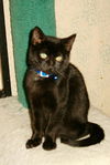 Doby