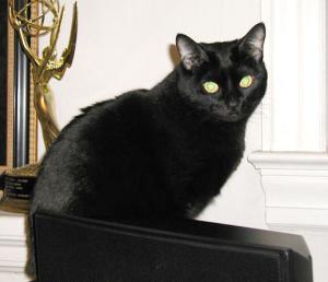Miss Celie