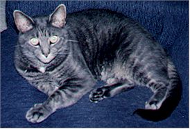 Gus