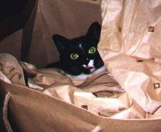 Blackie
