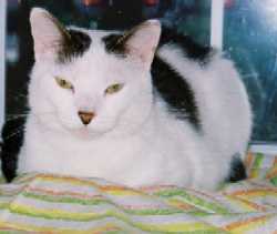Rudy