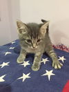 Sulu