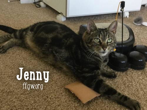 Jenny