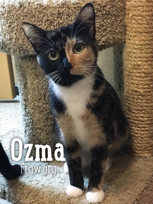 Ozma