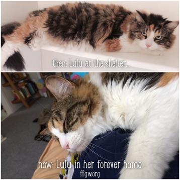 Lulu