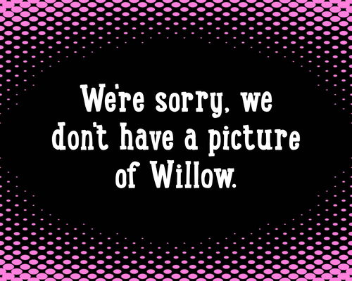 Willow.